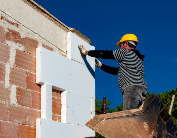 Best Insulation Contractor Near Me  in Osakis, MN