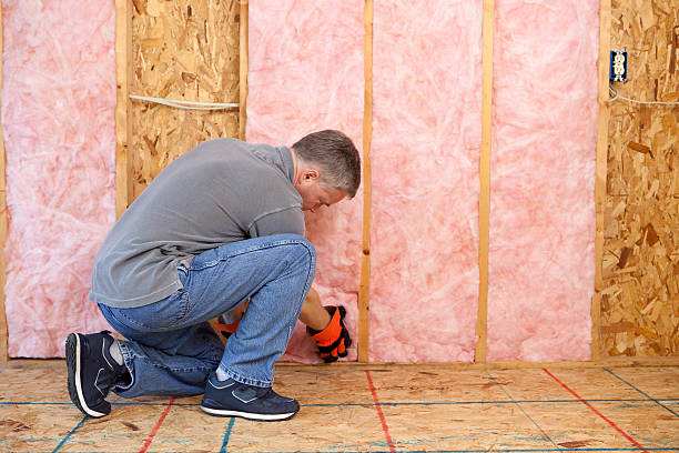 Best Crawl Space Insulation  in Osakis, MN